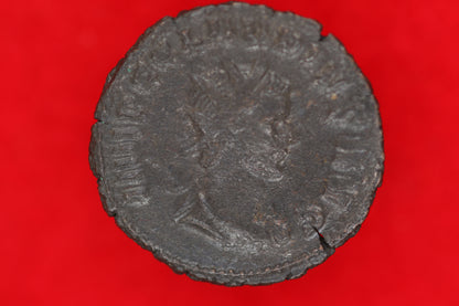 Claudius Gothicus Antoninianus