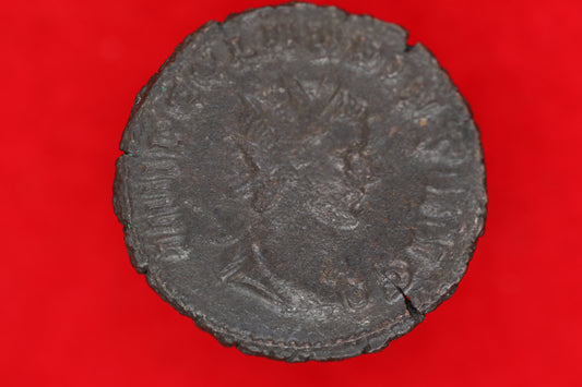 Claudius Gothicus Antoninianus