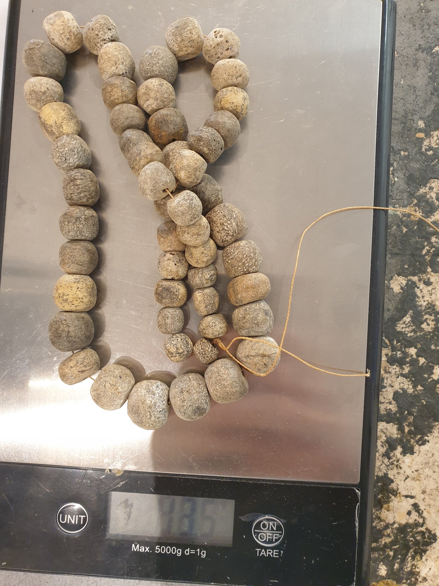 Mammoth Bone Necklace