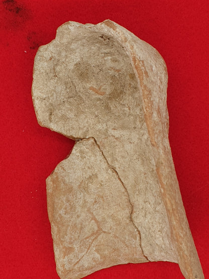 Greek 5th C B.C Terracotta Protome